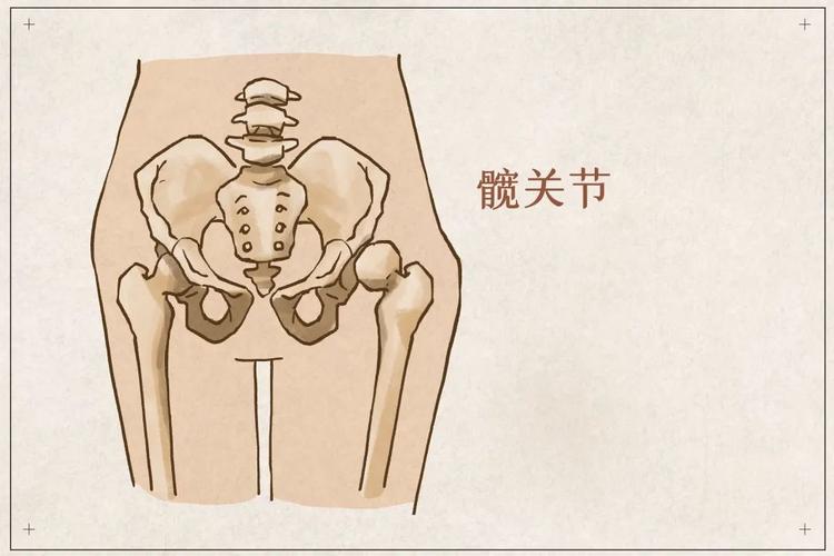 谈医论症髋关节置换的那些事儿