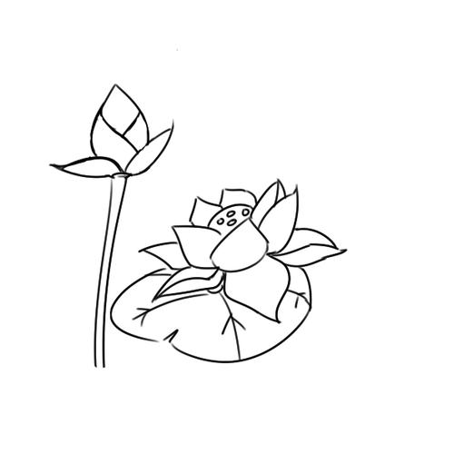 小学生学画漂亮的莲花简笔画教程