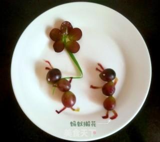 葡萄果盘蚂蚁搬花独家