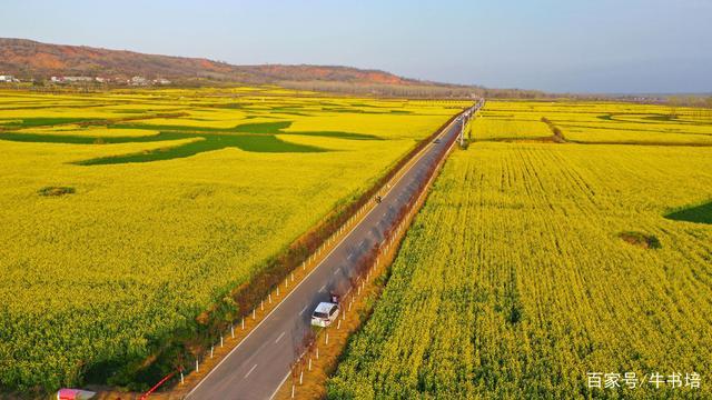 2020年3月18日,河南许昌,襄城县首山油菜花海(无人机拍照).