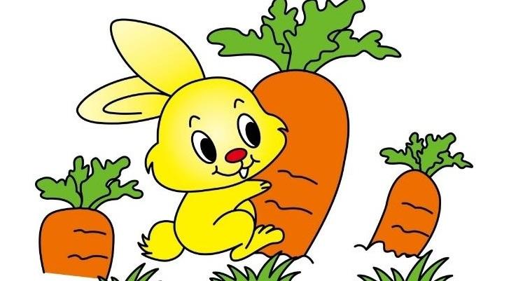 孕40周胎教故事第274天:不想吃萝卜的小白兔