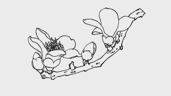 潮州的春丨它是城市的风水,长廊的老大