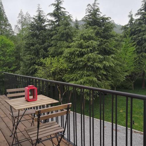 宜兴竹海 龙池山 野风艺栈山景民宿