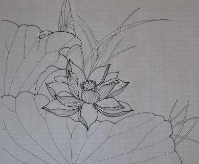 荷花图片手绘(荷花铅笔简笔画)