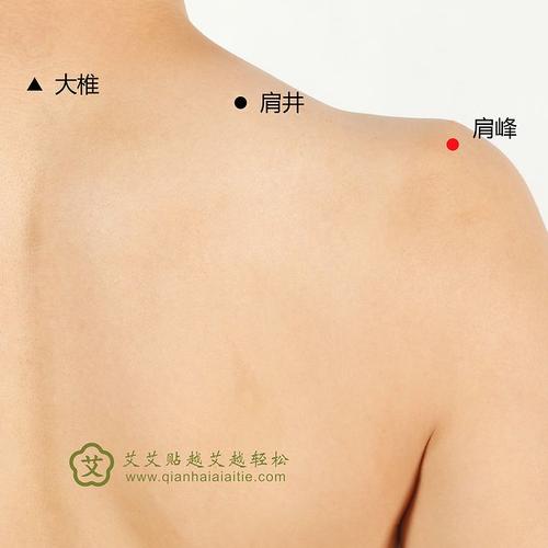 肩峰穴--艾艾贴穴位图