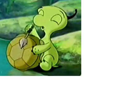 这个乌龟叫"双面龟".是《小鲤鱼历险记》里的一名