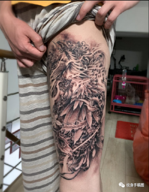纹身图案 凤凰纹身欣赏 纹身素材 凤凰纹身 朱雀纹身图案 花臂凤凰
