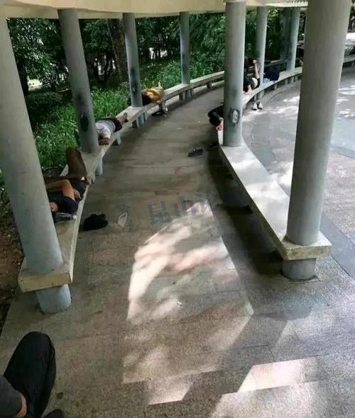昆山中华园的睡地铺的人越来越多不知该同情还是惋惜他们