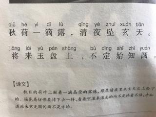 22咏露珠二6金艳