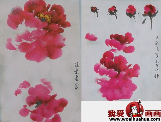 国画写意牡丹的画法步骤,牡丹的花朵