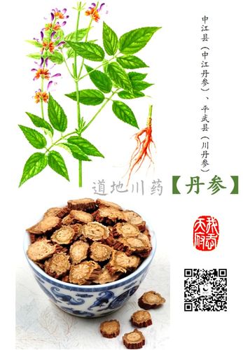 我爱天府中药之乡:四川的道地药材,为什么无川药不成方?