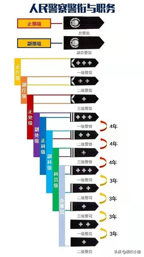 军衔等级排名从小到大含军人的肩章级别图片