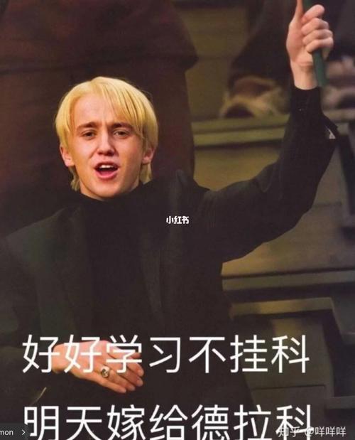 拽哥马粪表情包_表情包_汤姆费尔顿_素材_表情包