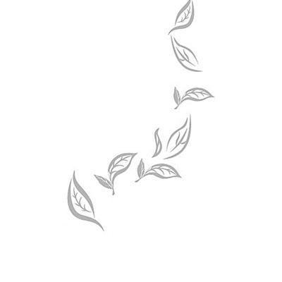 茶叶的简笔画集