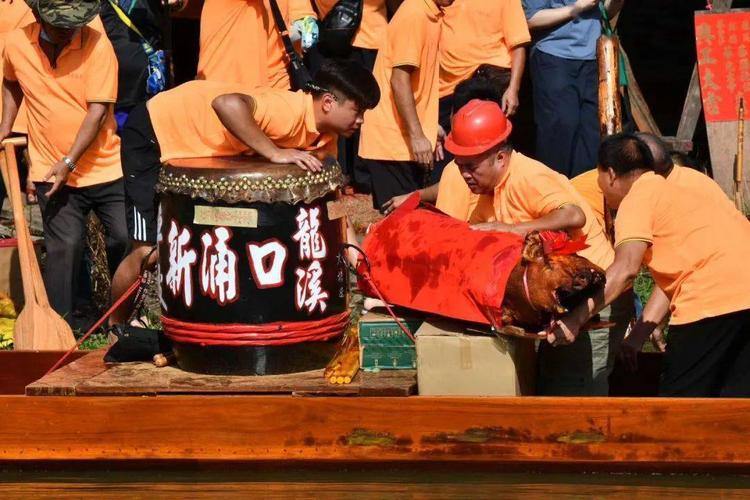 又有5条"新龙"齐入水!@洛浦人,转发分享