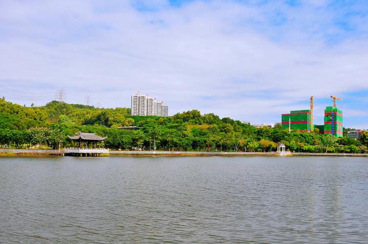 随拍深圳大运公园神仙湖