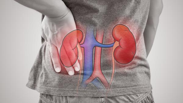 左肾囊肿脂肪肝可以挂哪个科