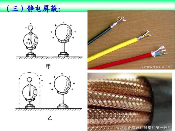 (三)静电屏蔽