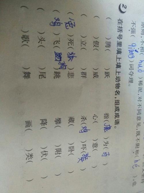 在括号里填上动物名,组成词语.什么腾什么月?