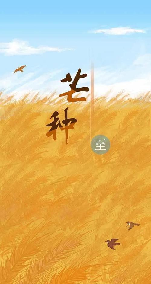 节气养生 | 今日芒种,老年朋友饮食起居要注意什么?