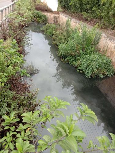 长丰臭水沟