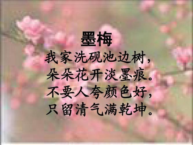 墨梅 我家洗砚池边树, 朵朵花开淡墨痕.