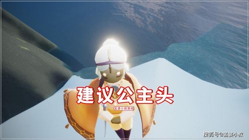 原创光遇小王子有官配cp吗玩家建议公主头甜甜的恋爱