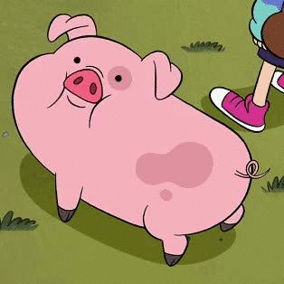 小猪 