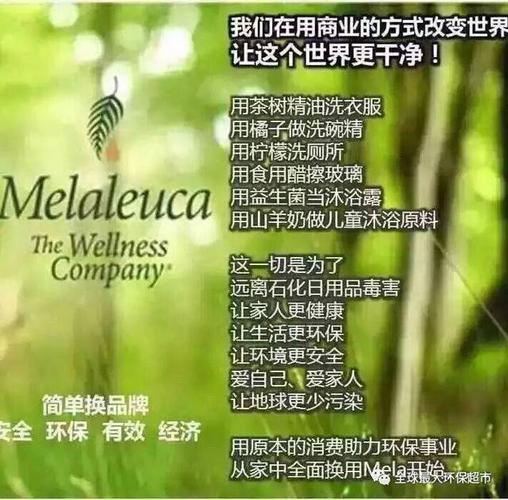 总裁诠释,简单介绍美乐家
