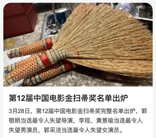 金扫帚奖名单也新鲜出炉,和外国的金酸梅奖同理,选出了几个每年比较拉