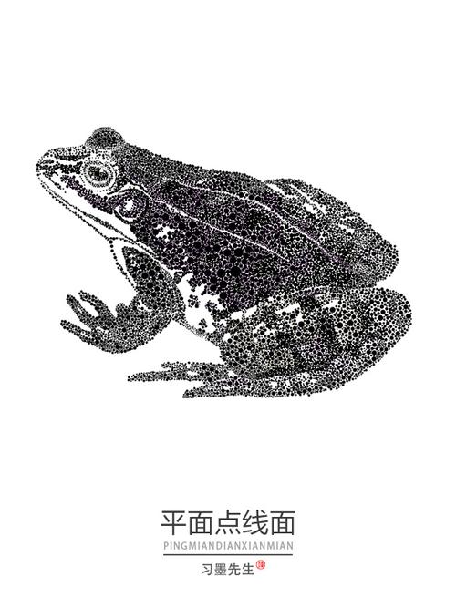 平面构成点线面