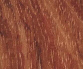 新手用图辨认各种木材