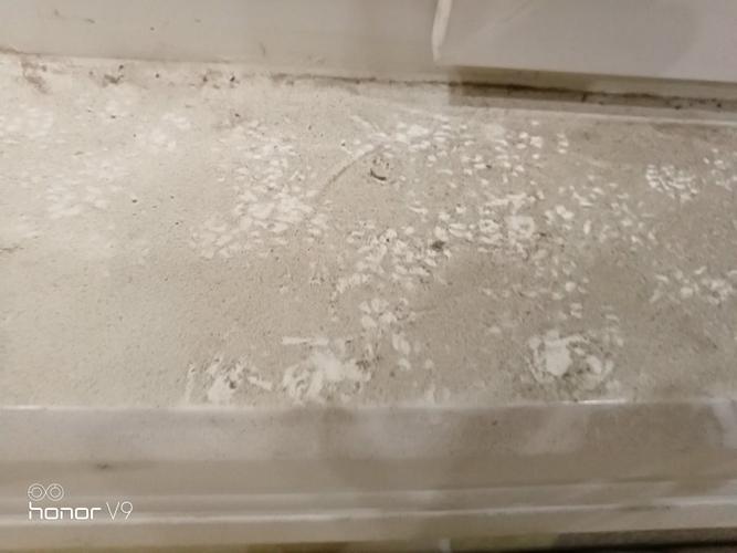 这是老鼠蹄子印吗?
