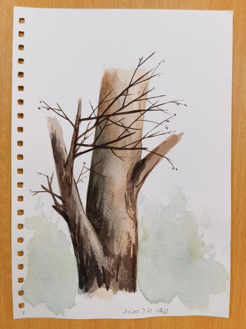 从头再学水彩画