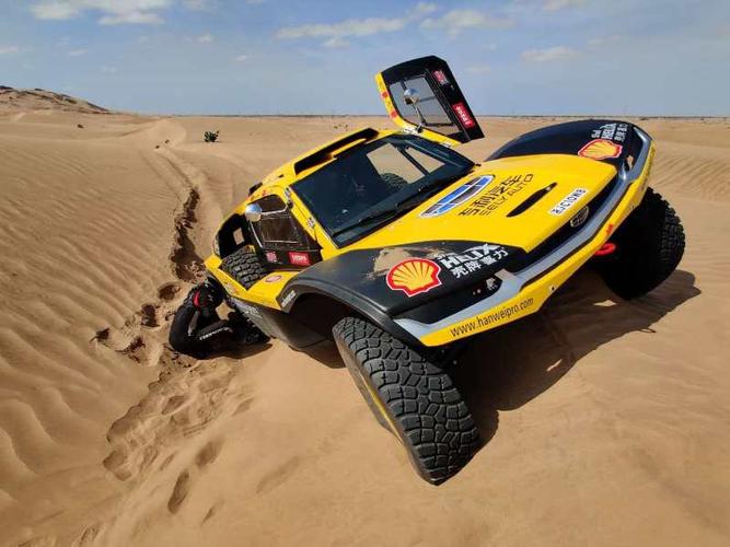 8   图集-2020达喀尔赛车车检与车手会      