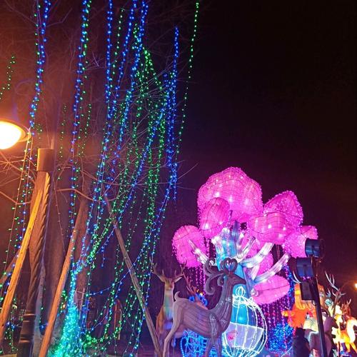 国色天香灯会,门票30,截止时间正月15 灯会布置得挺多