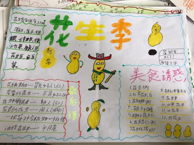 以 花生 为研究主题之手抄报集