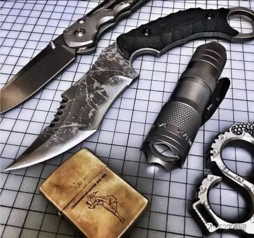 全蓝淬火爪子刀 是一种个人随身刀具