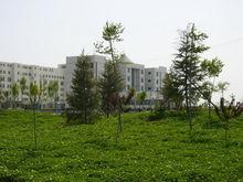 东营职业学院文法系