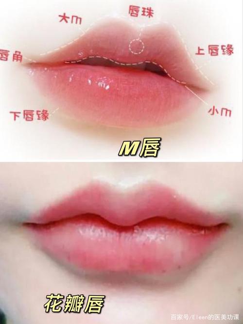 m唇和花瓣唇