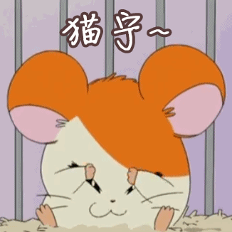 猫宁哈姆太郎打招呼表情包gif动图下载_soogif