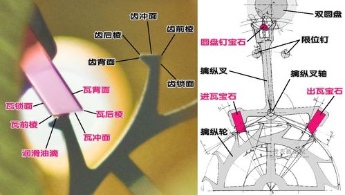 杠杆擒纵的擒纵轮齿和擒纵叉瓦宝石要严格按几何数据制作工作面