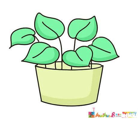 绿萝的画法步骤图带颜色简笔画图片