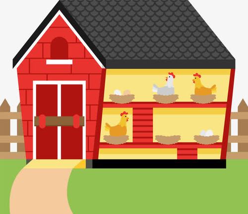乡村养鸡场