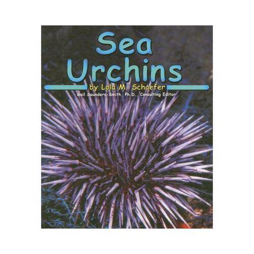 【预订】sea urchins y9780736882224