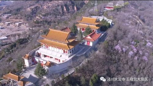               来源:泾川大云寺