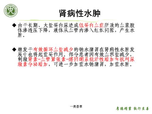 肾性水肿病人的护理ppt行业特制