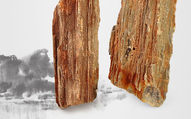 鱼缸造景石头黄金木化石树化石木纹石水族箱装饰水草缸造景石化木