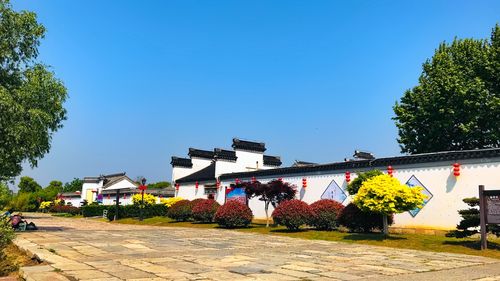 南京江宁湖熟镇前杨柳村