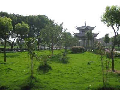 宁波市鄞州区咸祥镇球山村